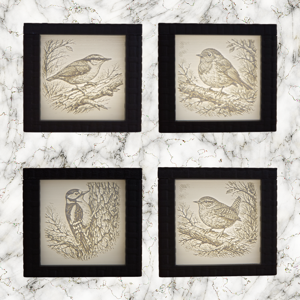 Four framed illustrations of birds on a marble surface