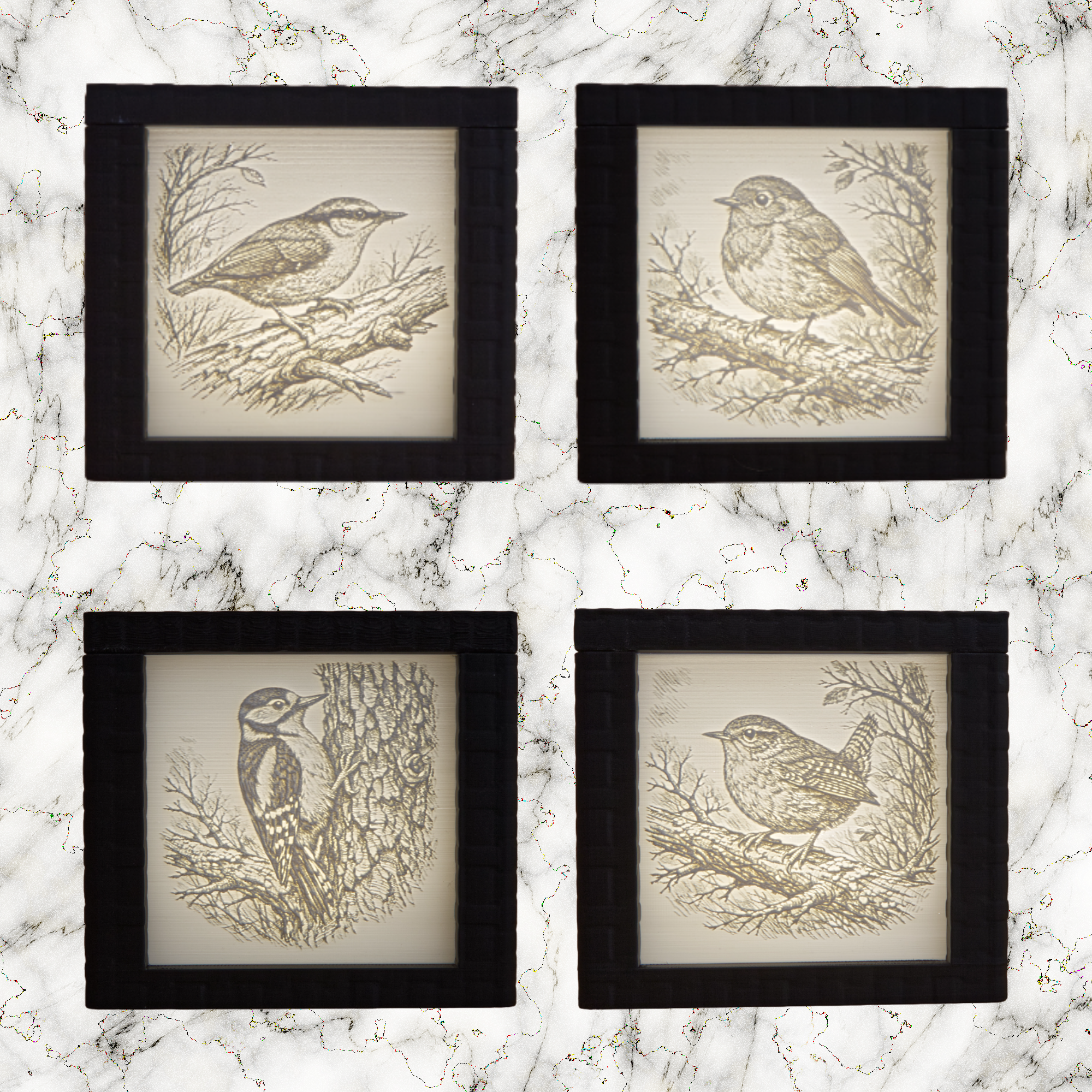 Four framed illustrations of birds on a marble surface