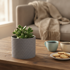 Gray textured planter with a succulent on a wooden table with coffee and cookies.